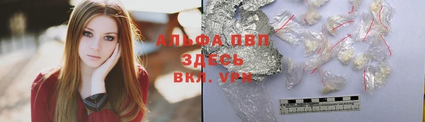 дживик Ростов