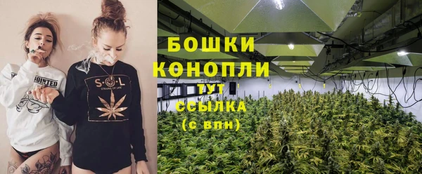 первитин Заводоуковск