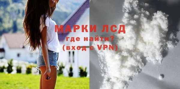 прущие грибы Зеленодольск