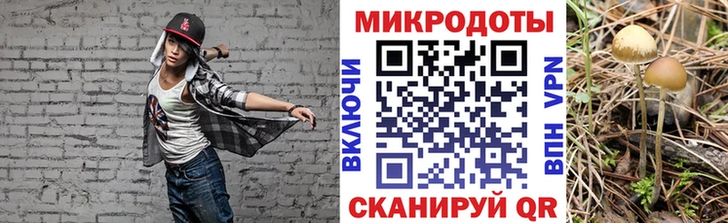 Купить закладки  Еманжелинск  Галлюциногенные грибы Cubensis 